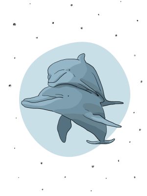 plakat delfiny